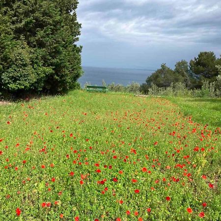 Istrian Green House 포르토로즈 외부 사진
