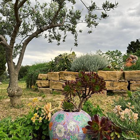 Istrian Green House 포르토로즈 외부 사진