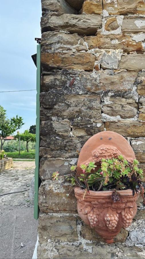 Istrian Green House 포르토로즈 외부 사진