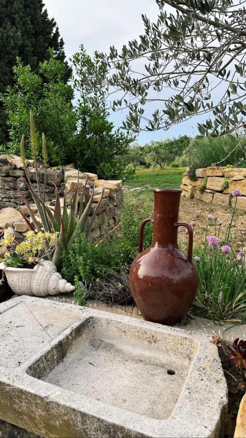 Istrian Green House 포르토로즈 외부 사진