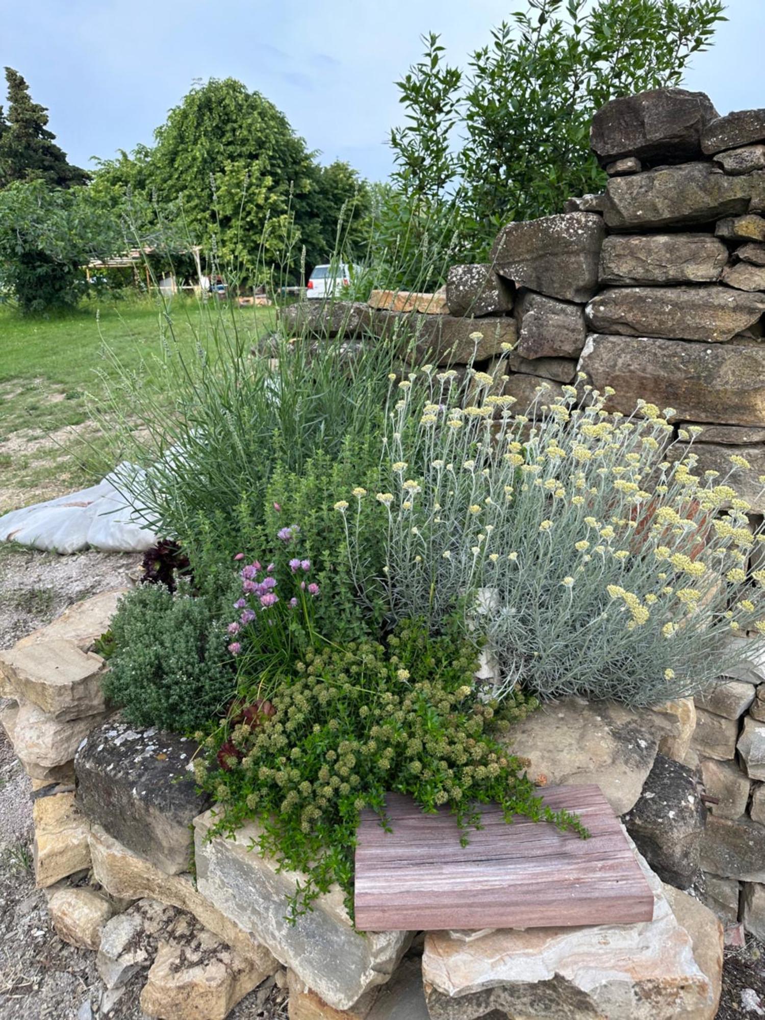 Istrian Green House 포르토로즈 외부 사진